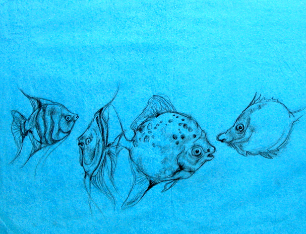 Tiere Zeichnung Fische